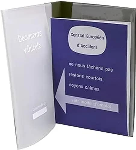 AUXENCE Pochette de Rangement Véhicule