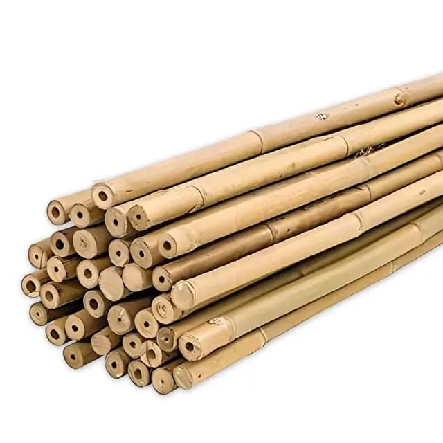PLANTAWA Tuteurs Bambou 90 cm