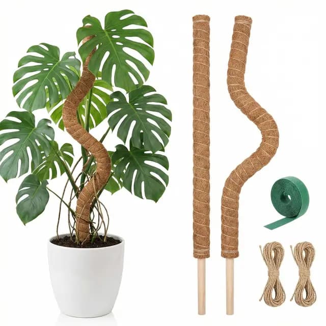 AebeChun Tuteur Coco Monstera 80cm