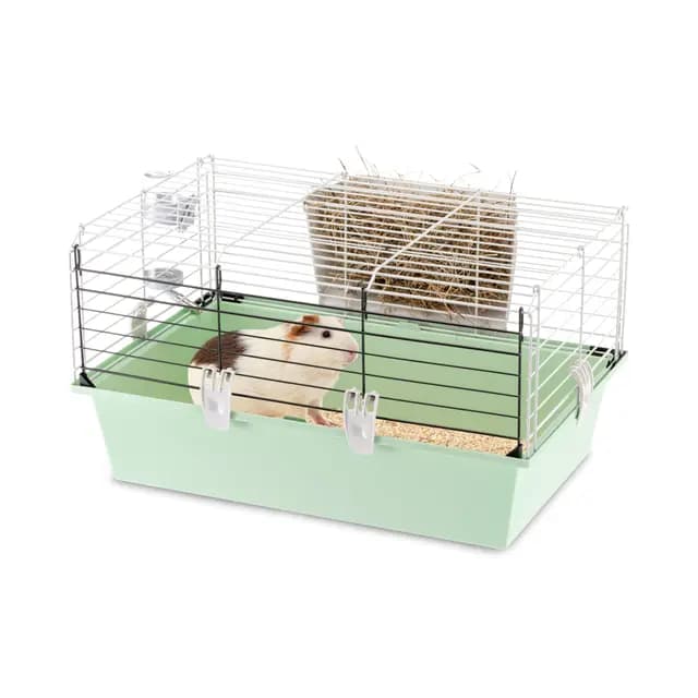 Ferplast Cavie 60 Cage pour cochons d'Inde