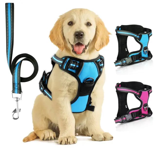 SIBOTER Harnais Chien Anti Traction