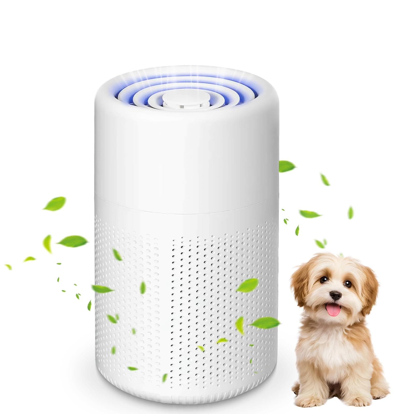 Purificateur d'air Chambre