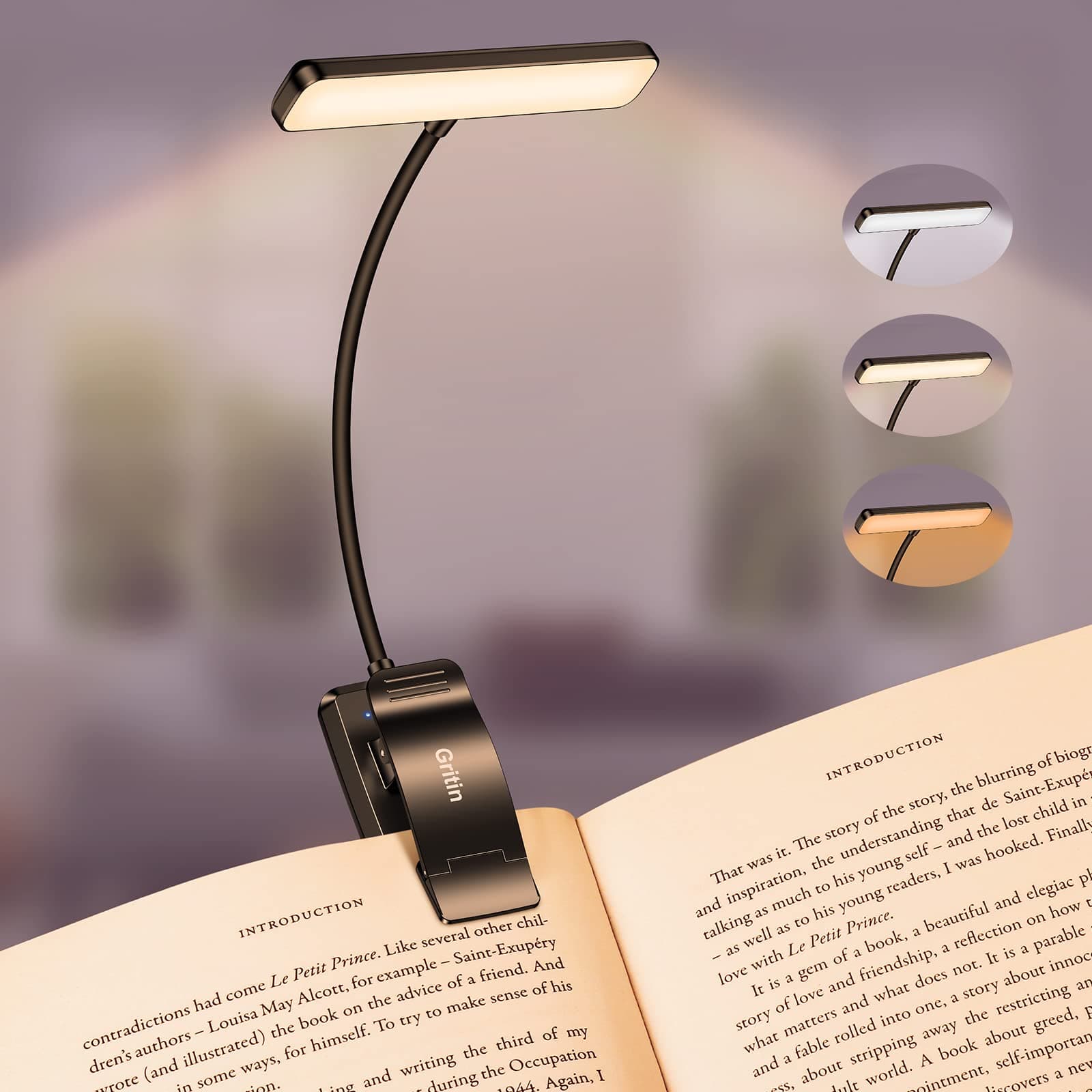 Gritin Lampe de Lecture 19 LED
