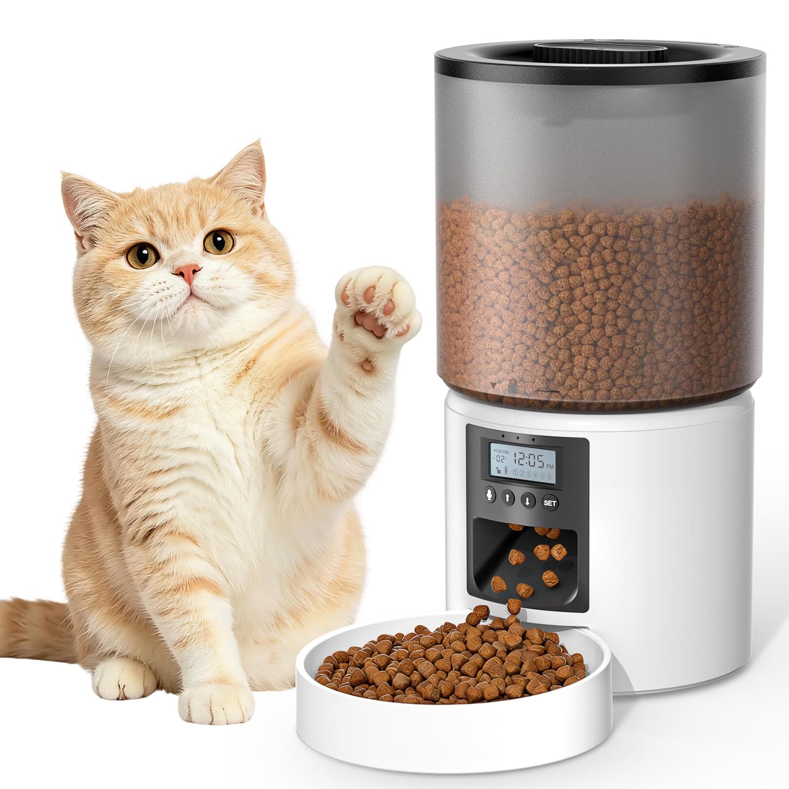 Distributeur Croquettes Chat Automatique 4L