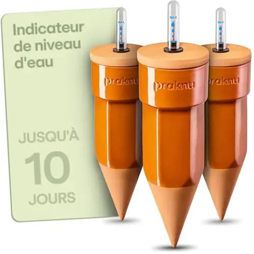 Praknu Oyas Distributeur d'Eau