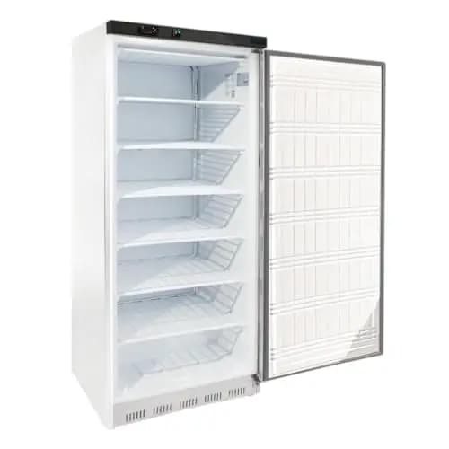 Générique Armoire Réfrigérée Négative 600L – Température ≤ -18°C – Stockage Volumineux – Classe B – Idéale pour la Restauration