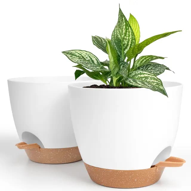 Winter Shore Pot Auto Arrosant 20 cm