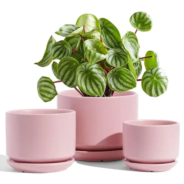 LE TAUCI Lot de 3 Pots de Fleurs