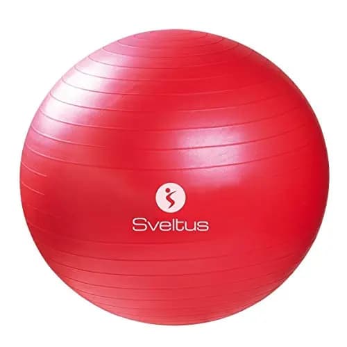Sveltus 0430 Ballon d'exercice 65cm