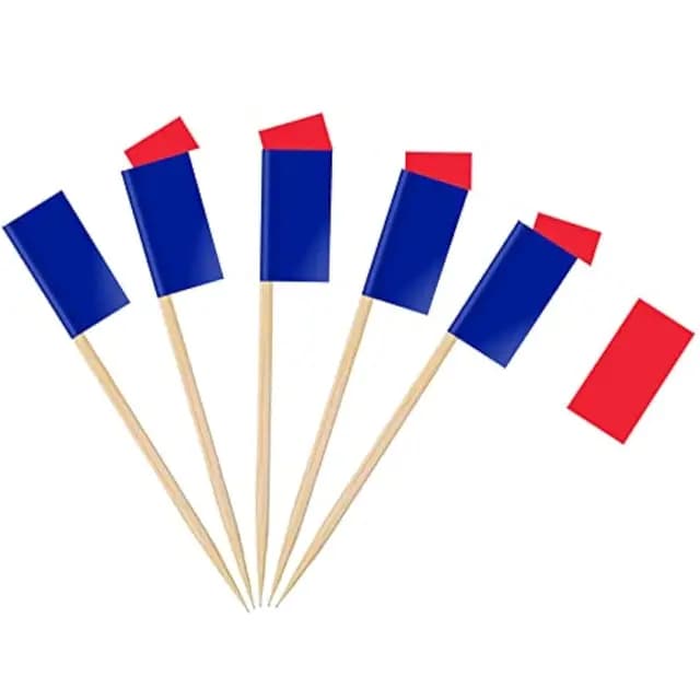 AhfuLife Drapeaux Cure-dents France