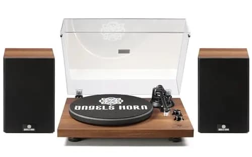 ANGELS HORN H0051 Platine Vinyle
