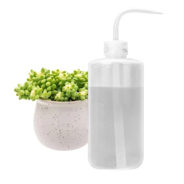 ORIMERC Arrosoir Bouteille 500mL