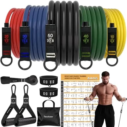 Elastique Musculation avec 5 Niveaux différents allant jusqu'à 150 lbs ,Idéales pour de TRX ou d'un Gymnase à Domicile