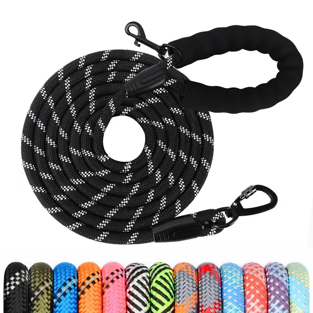 Wodondog Longe pour Chien
