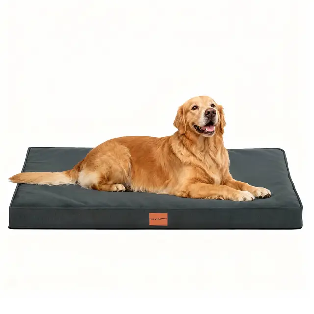WAVVE Panier Chien Orthopédique XXL