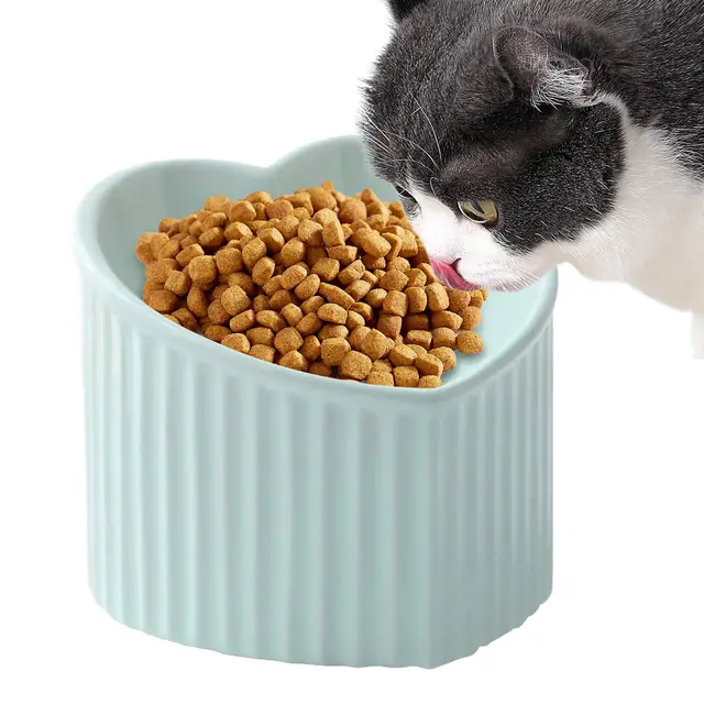 Katzenfutternapf Aus Keramik - Keramik-Katzenfutternapf | Geneigter Keramiknapf Für Die Wasserfütterung Von Katzen | Erhöhter Futternapf Aus Porzellan Für Mittelgroße Und Kleine Haustiere
