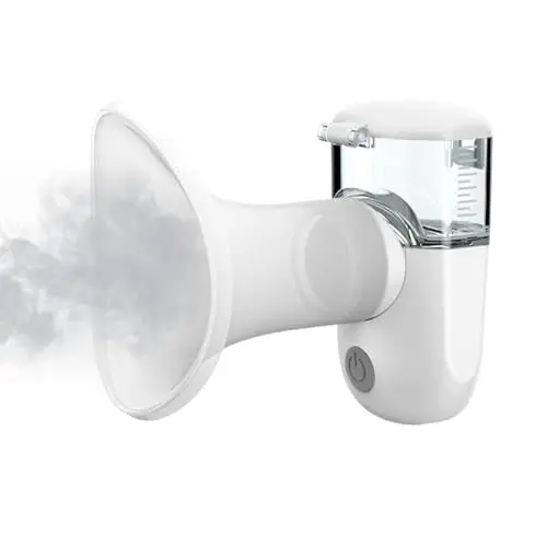 Gesichtsdampfer Gesichtssauna Nano Ionic Gesichtssauna Warmer Nebel Gesichtsdampfer Gesicht -Sauna SPA Gesichts-Befeuchter Gesichtszerstäuber 1 Pack + 5 Stainless Steel Skin Kit Rosa