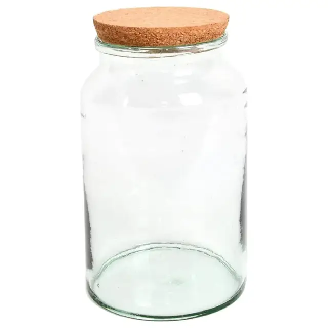 Esschert Design Bouteille de Terrarium Semi-Ouverte Moyenne, en Verre recyclé, liège