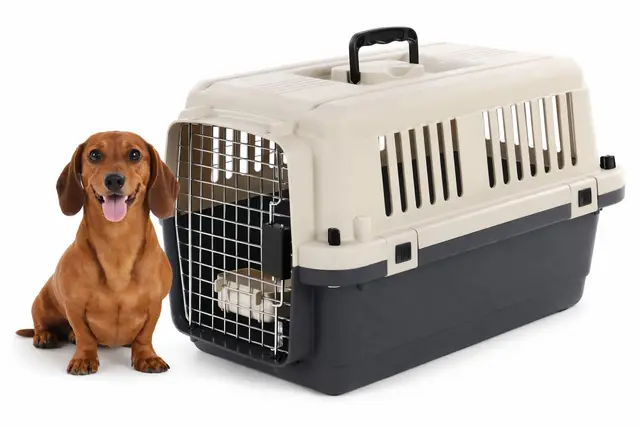 Flamingo Fomad Cage de Transport pour Chien