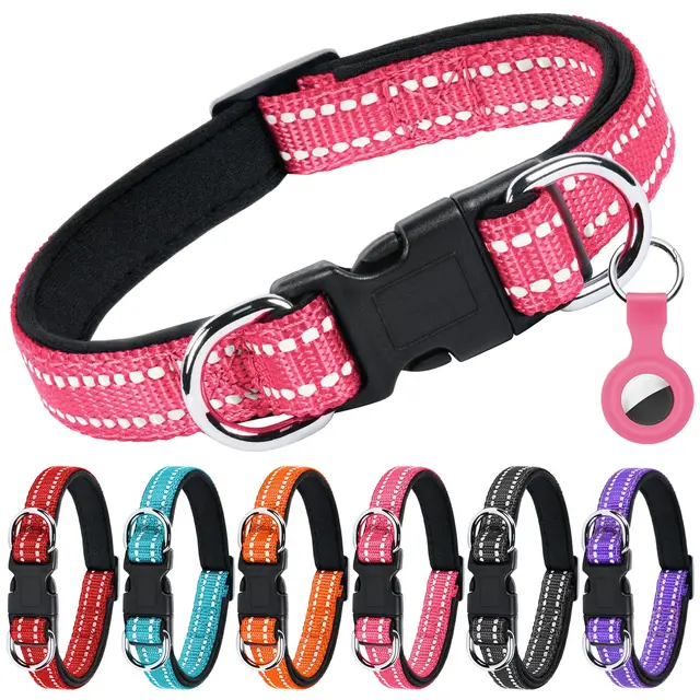 auauy collier chien nylon réfléchissant