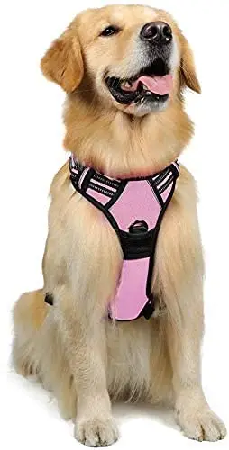 rabbitgoo Harnais Chien Rose Grand Taille