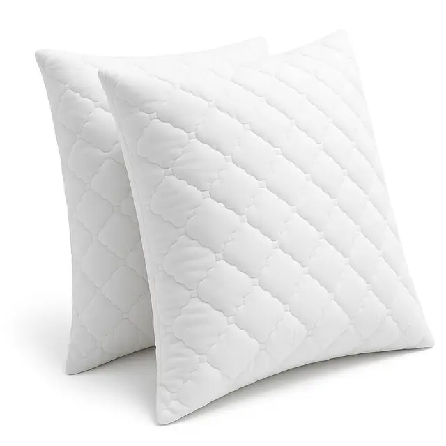Promo Linge Lot de 2 Oreillers, Coussins à Mémoire de Forme, Spécial Cervicale (60x60 cm)