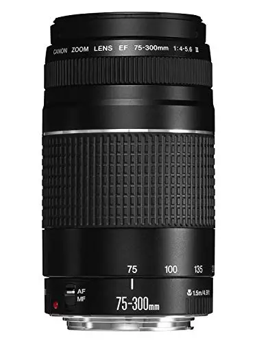canon ef 75-300mm f/4-5.6 iii