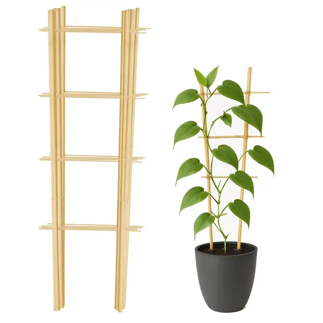 Lot de 10 treillis en bambou, support de grimpantes en bois pour plantes grimpantes, concombres, tomates, fleurs, tour à tomates - longueur 45 cm (2S, 45 cm)