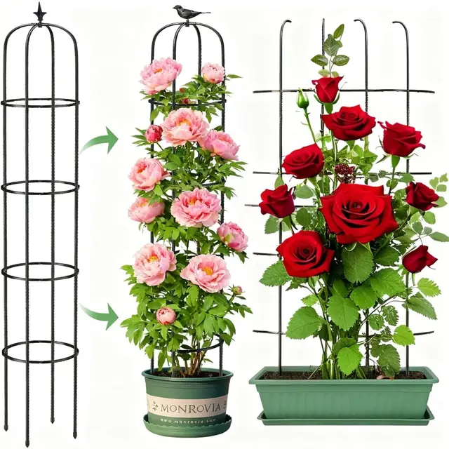 LATERN 1 Pièce Treillis Obélisque de Jardin pour Plantes Grimpantes, 180CM Haut Support Tuteur en Métal Antirouille Cadre de Treillis pour Pots Plante Rosier Tomate Concombre Fleurs Raisin Pois