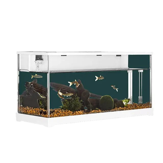 Lidzopas Aquarium Rechteckig 10,19 L mit Filter