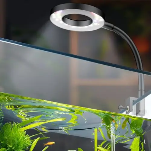 Pawfly 6 W Lampe d'aquarium LED pour aquarium de 3,8 à 38 L Lampe d'aquarium à pince mobile USB avec lumière blanche, bleue, rouge et verte à spectre complet et dimmable avec minuterie