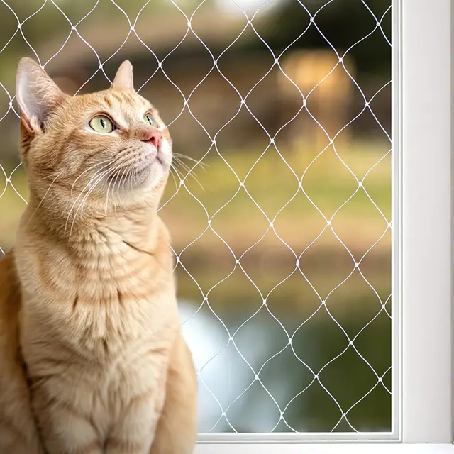 lionto Filet de Protection pour Balcon pour sécuriser Les Chats, Nylon Transparent 3x4 m, résistant aux intempéries pour Installation sans perçage, matériel de Montage et Instructions Inclus