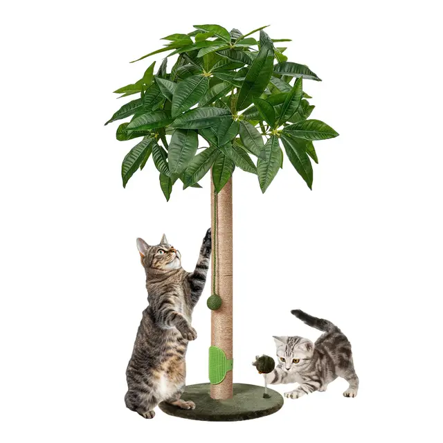 Meowoou Griffoir pour Chat