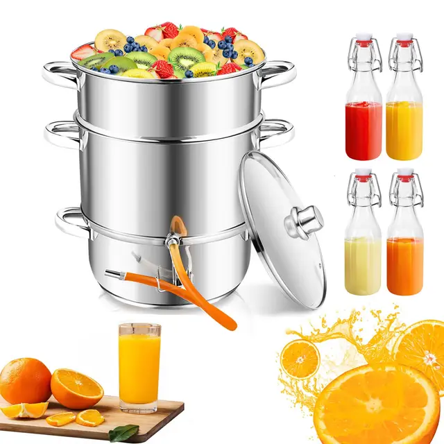 Herrselsam Extracteur de jus à vapeur, 16L Acier inoxydable Presse-fruit avec 4 bouteilles pour fruits et légumes, Convient à tous les types de cuisinières Ø 26cm