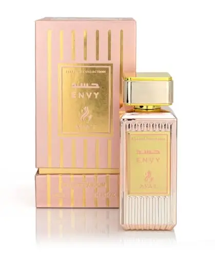 AYAT PERFUMES – Eau de Parfum FEELINGS 100ml - Made in Dubaï Avec Des Notes de Rose Vanille Oud Musc et Boisé - EDP Oriental Parfait Pour Femme & Homme (Envy)