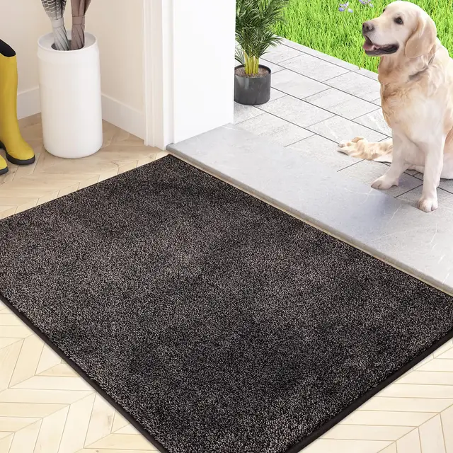 FCSDETAIL Dust Catcher Tapis d'entrée
