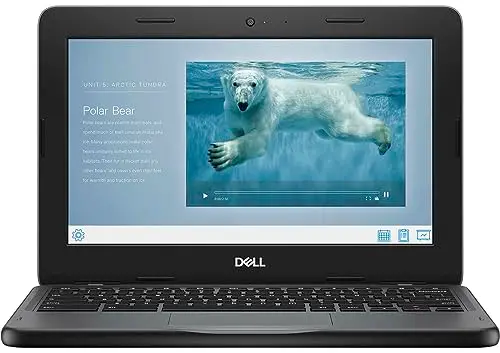 Dell Chromebook 3110 Ordinateur Portable, écran HD 11,6 Pouces (1366 x 768), processeur Intel Celeron N4500, 4 Go de RAM, eMMC 32 Go, Clavier QWERTY américain, Chrome OS (Reconditionné)