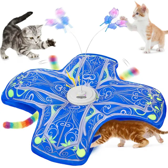 qraxond jouet interactif chat