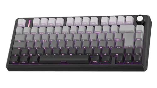 OMOTON Clavier Gamer 75% Mécanique