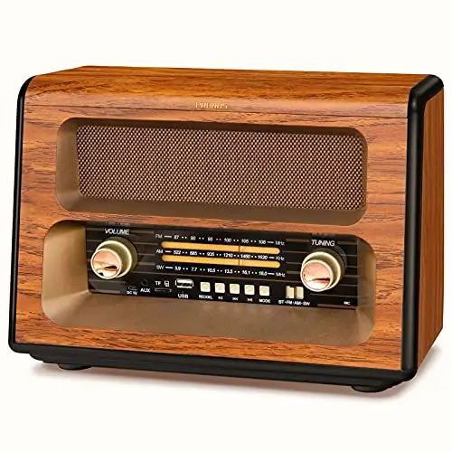 PRUNUS J-199 Poste Radio Vintage AM FM SW Avec Bluetooth, Rétro Transistor Rechargeable, 3 Modes d'Alimentation, Support Carte TF, USB