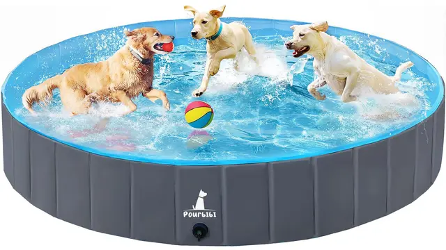 Pourbibi Piscine pour Grands Chiens, Bassin de baignade Pliable pour Chien, pataugeoire pour Chien, Baignoire PVC Portable pour Chien, Piscine pour Chiens Grands et Petits, 160 x 30 cm