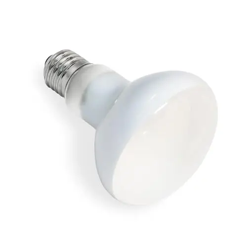 SCNNC Ampoule Chauffante Terrarium 100W UVA E27 R80 Basking Spot, AC 220V Lampe Chauffante Reptile Lumière du Jour, E27 Ampoule Chauffante pour Reptile et Amphibien, Tortues, Lézards, 1 Pièce