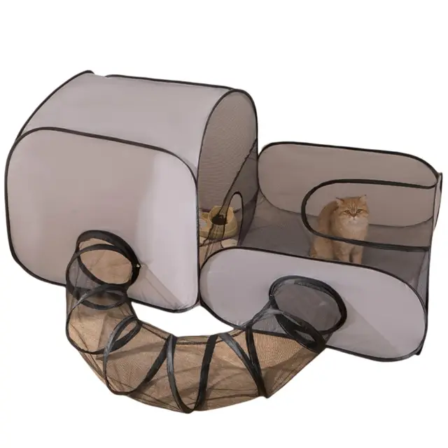 Générique Parc d'extérieur pour Chat