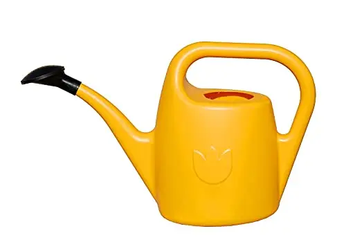 Plastia Arrosoir EVA 2 L - Arrosoir de Jardin en Plastique pour Intérieur et Extérieur - Arosoire Plante - Couleur Jaune