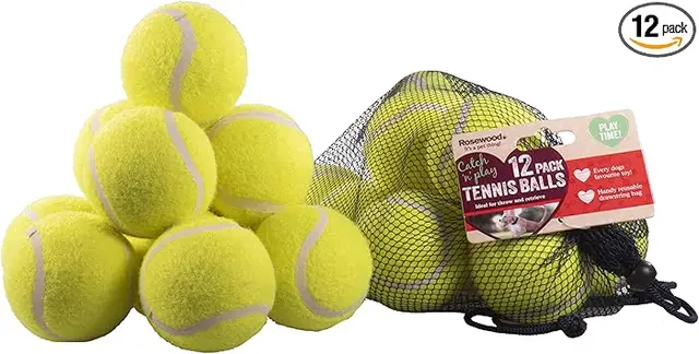 Rosewood Balle de Tennis pour Chien