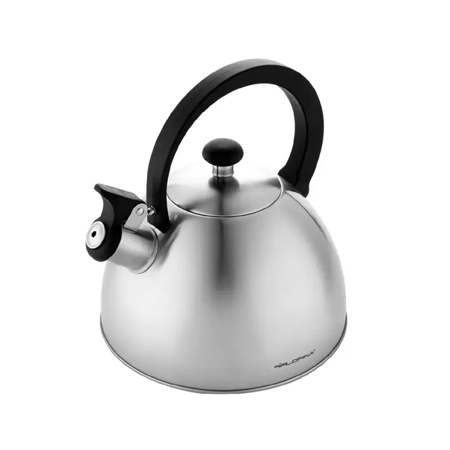 FLORINA - Bouilloire Inox (2,5 l) I Bouilloire Sifflante BRILLO I Poignée Résistante à la Chaleur I Bouilloire non Electrique I Bouilloire Induction, Gaz I Pour Thé et Café I Couleur: Argent