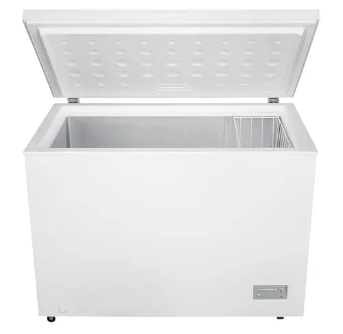Congélateur coffre BEKO CF316EWN