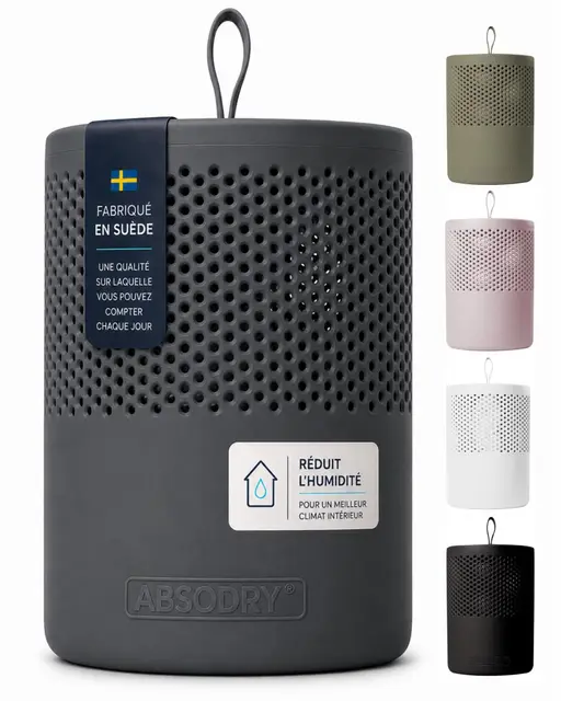 AbsoDry Duo Family - Déshumidificateur d'air anti moisissure non électrique - Absorbeur d'humidité - Pour une meilleure qualité de l'air - Anti humidité maison, salle de bain, chambre - Gris foncé