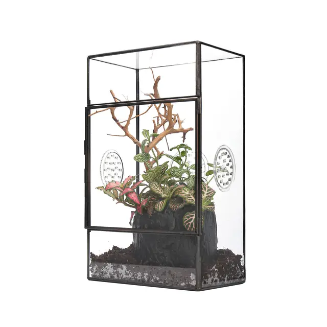 NCYP Terrarium géométrique Noir rectangulaire en Verre avec Porte latérale et Trois Trous d'aération Fait à la Main, 13x10x23cm, pour Petits Insectes Décoration de Jardin (Terrarium Uniquement)
