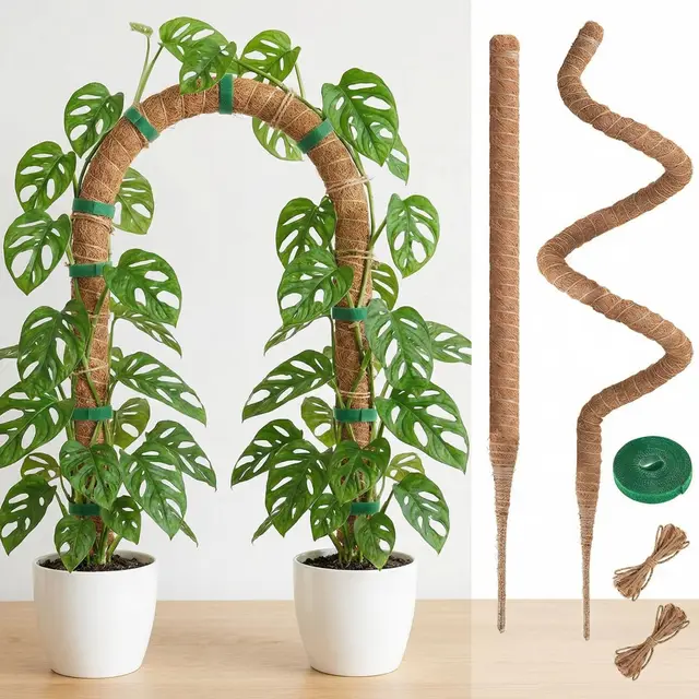 AebeChun Tuteur Plante Grimpante Coco